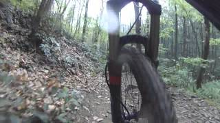 Daniel Ridge MTB Trail in Pisgah North Carolina DH