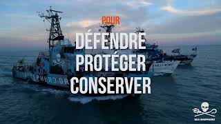 Sea Shepherd : Défendre, Préserver, Protéger