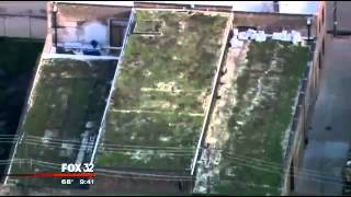 Urban farmers looking for rooftops to garden