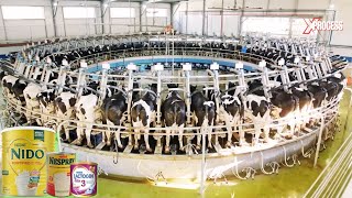 From Moo to You: How Milk Powder  is made in factory 🐄🥛