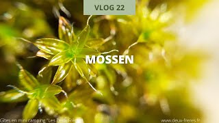 Natuur Weetjes voor kinderen Vlog 22: mossen