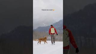 Enjoying some early season snowfall with my golden retriever ❄️😍🏔️