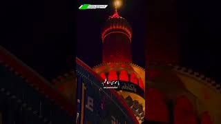 Wiladat Imam E Raza a.s || Per Sub kay leye Dua | #wiladat #imameraza #iran #mashad #8thimam #shorts