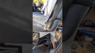 Mercedes Sprinter 1995-2006 front passenger seat removal