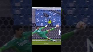 Incredible Goalkeeper Saves