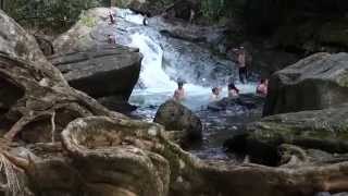 The Gringo Train at Las Paylas in Luquillo Puerto Rico