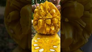 Khasiat Getah Pada Buah Nangka #nangka #jackfruit #shorts