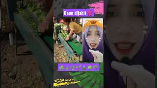 daun kok dijahit ⁉️emang robek?buat apa nih gess ⁉️ #shorts #daun #viral