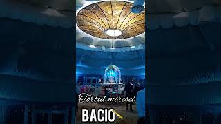 BACIO Evenimente TORTUL MIRESEI ANNA Events