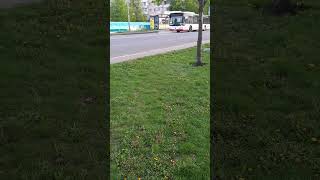 Маршрут 104 Буча-Здвижівка (Mercedes-Benz O530 Citario) #bus #shorts