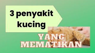 3 Penyakit kucing yang mematikan