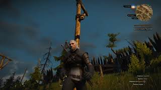 The Witcher 3 / 13 серия / Одичалые собаки