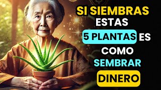 ¡ADIÓS DEUDAS! | Siembra Estas 5 Plantas AHORA para Atraer MUCHO Dinero | Feng Shui