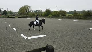 British Dressage Prelim 13