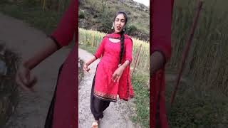 मेरी ढाई हाथे धमेली  🤩 short video 🔥#yt20 #viral #shortvideo