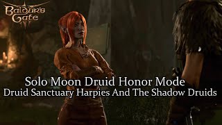 Solo Moon Druid Ancient Mud Mephits & Harpies & kagha And The Shadow Druids Honor Mode