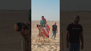 #Belly dance#desert safari#Dubai#abu dhabi#viral short