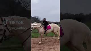 6 year old jumping 1.30 on 17hh stallion 🫢🐎 #youtube #equestrian #horse #shorts #viral