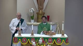 21st Sunday in Ordinary Time (Sat. 5 pm) (LIVE) -  August 25, 2024