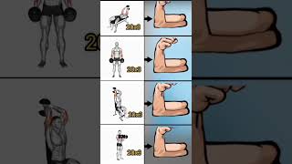 Dambıl kol antrenmanı dumbbell arm workout