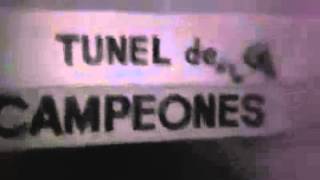 "Hinchas" de la u rayando Túnel de Campeones (2014)