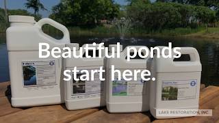 Pond Solutions for Weeds and Algae