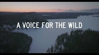 A Voice for the Wild | Emily Ford's Winter Expedition Across the Boundary Waters