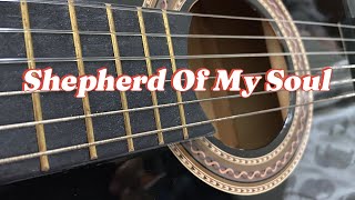 Shepherd Of My Soul | Psalm 89:1-4, 19-26 💕 #worship #WorshipGod #fbreels #jamwithgod