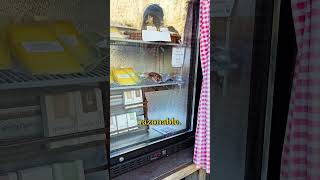 NADIE VIGILA estas TIENDAS en SUIZA | Valle de Lauterbrunnen