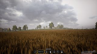 Post Scriptum Stream