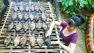 Harvesting fish in ponds - Processing smoked fish, marinating and preserving fish