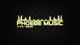 V O E - Sanity | DnB | Phoebe Music