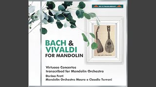 Concerto for 2 Violins in D Minor, BWV 1043 (Arr. for Mandolin Orchestra) : I. Vivace