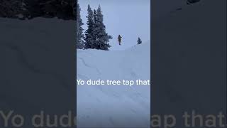 Failed tree tap 😂