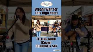 Wait for the high note! Woah! Classic cover of Feeling Good!