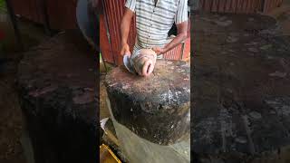 Fastest Rohu Fish Cutting Skills Big Rui Fish Skinning And Chopping By Expert #shorts