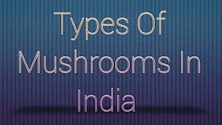 Types Of Mushrooms In India || भारत में मशरूम के प्रकार ||