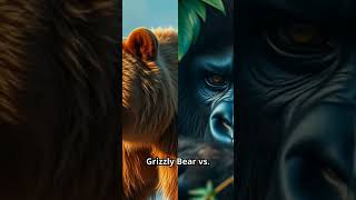 Grizzly Bear Vs Gorilla  #Gorilla #grizzlybear #bears #shorts #shortvideo #short