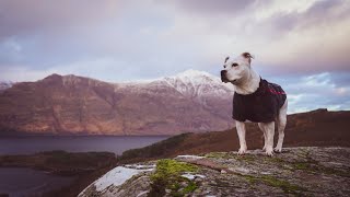 3 Brothers and a Staffie Scotland road trip - West Coast NC500 1st January 2022 #BealachnaBa #NC500