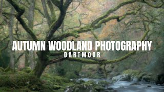 AUTUMN WOODLAND PHOTOGRAPHY on Dartmoor | Ancient Oak Trees