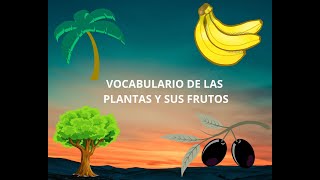 VOCABULARIO DE LOS ÁRBOLES Y SUS FRUTOS