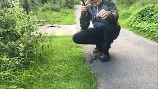 A volta do Alemãozinho e olha o que ele pegou.. Manchester fishing canal Pike Perch