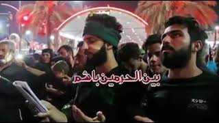 Hazaragi Noha-Syed Shaber Hussain | ای کاش شبی را من بین الحرمین باشم | Daste  Imam Reza Noha 2018