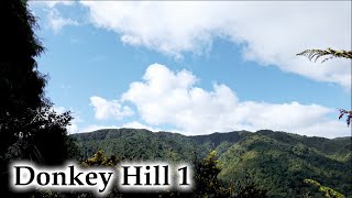 Donkey Hill Track Walk 1: Going Up #4k #newzealand #landscape #nature