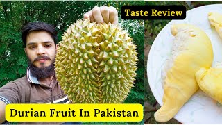 Durian Fruit In Pakistan | Durian Fruit Taste Review | Rare Garden