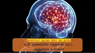 உள் மூளையில் எத்தனை வட்ட அணுக்கள் உள்ளன - ஞானாலயம் வழங்கும் தினம் ஒரு ஞானம்