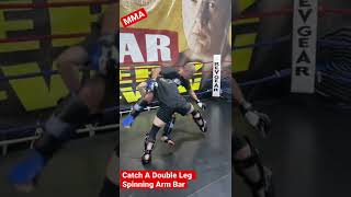 Catch the Kick Double Leg to the Mount Spinning Arm Bar