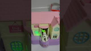 🏠 DOG 🐕 HOUSE 🏠 COIN BANK! #shortvideo ##shorts #viral #trending #youtubeshorts #youtube #like