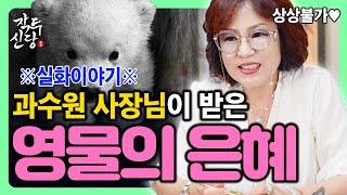 799화_[실화] 풀어줬던 구렁이가 은혜를 갚은 과수원 사장님의 실화| 받은 은혜 만큼은 상상이상으로 갚는 동물들! 절대 잡지 마세요 ❌