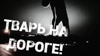 TBAРЬ НА ДОРОГЕ... Страшные истории на ночь.